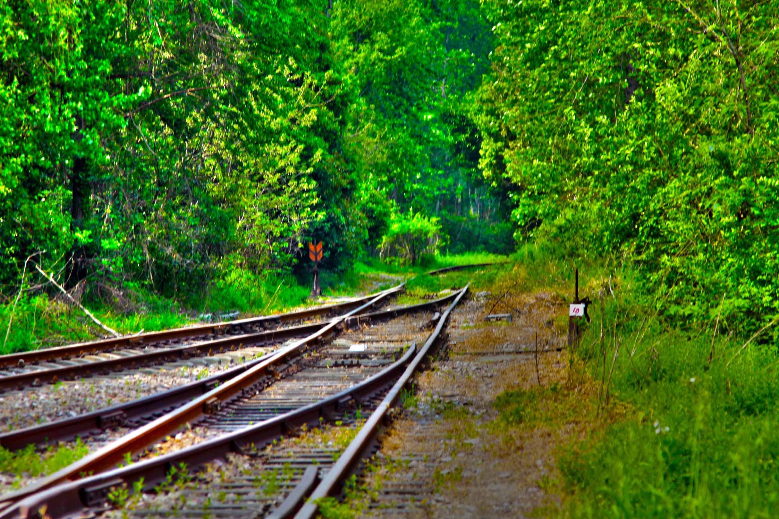 我省今年年內(nèi)有4條鐵路線投入運(yùn)營(yíng)更多出行選擇！
