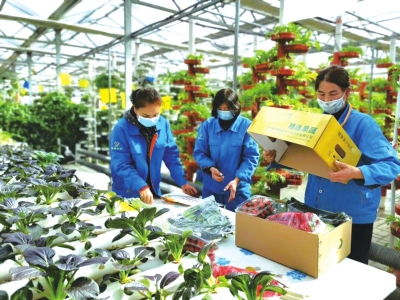 蘭西城市群節(jié)點上兩顆“明珠”聯姻度“蜜月”