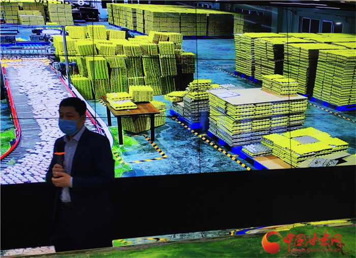 【甘肅省決戰(zhàn)決勝脫貧攻堅(jiān)】一人養(yǎng)十萬(wàn)只雞 隴南宕昌金雞產(chǎn)業(yè)帶動(dòng)1萬(wàn)貧困人口分紅