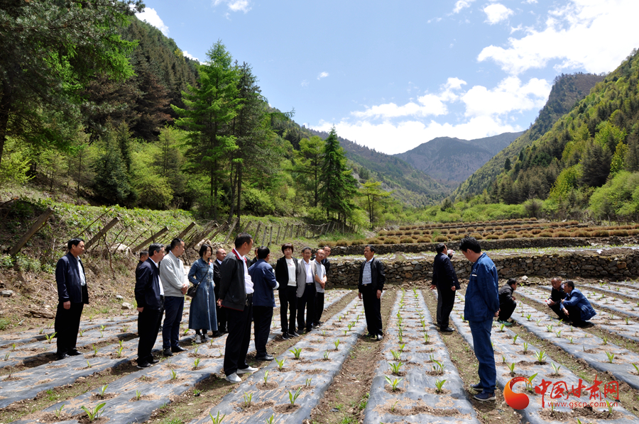 白龍江博峪河保護(hù)局開展產(chǎn)業(yè)發(fā)展、義務(wù)勞動成果現(xiàn)場觀摩交流活動