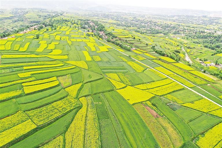 奮楫揚(yáng)帆風(fēng)正勁 爭先進(jìn)位正當(dāng)時——臨夏州上半年經(jīng)濟(jì)社會發(fā)展和重點工作綜述