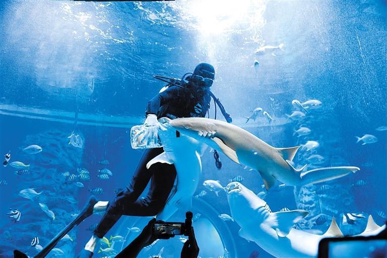 蘭州海洋公園 金昌火星1號(hào)基地 這個(gè)暑假我們“上天入?！?>
        </a><em>蘭州海洋公園 金昌火星1號(hào)基地 這個(gè)暑假我們“上天入?！?/em></li>
    <li><a  target=