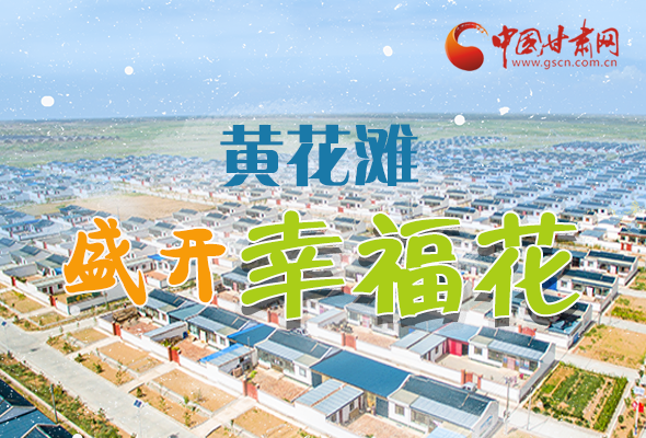 【跟著總書記看甘肅】長圖|武威黃花灘盛開幸?；?