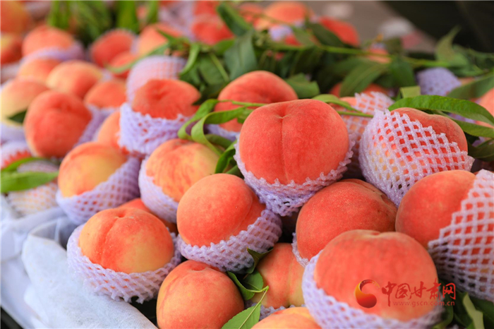 從“桃花源”到“蟠桃會(huì)”天水秦安10萬(wàn)畝蜜桃將延伸產(chǎn)業(yè)鏈