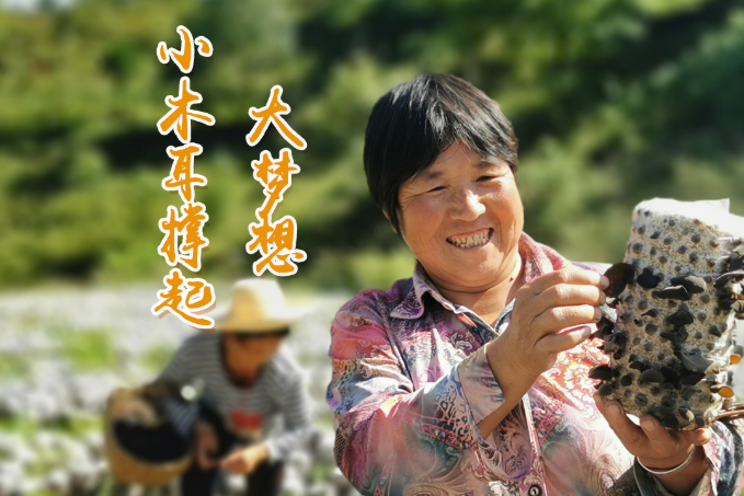 海報丨他們，乘“豐”破浪！