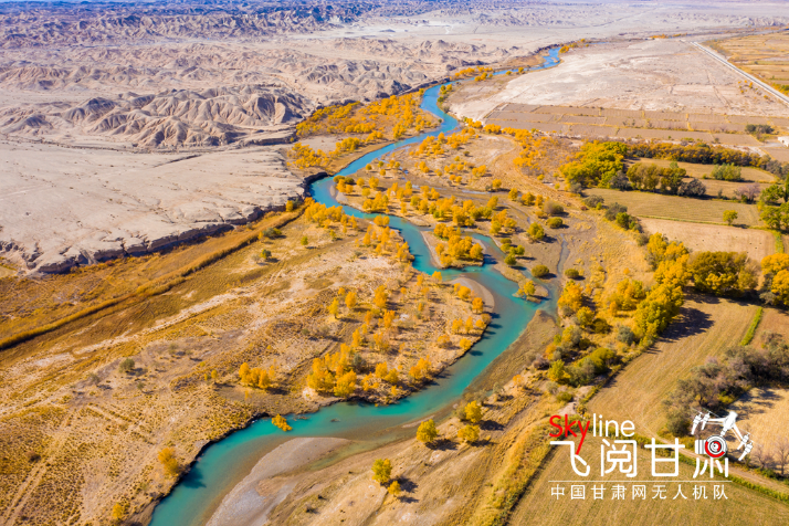 【飛閱甘肅】好美！疏勒河畔大地斑斕