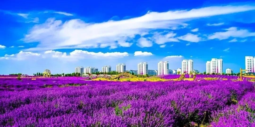 喜訊！金昌蟬聯(lián)全國(guó)文明城市