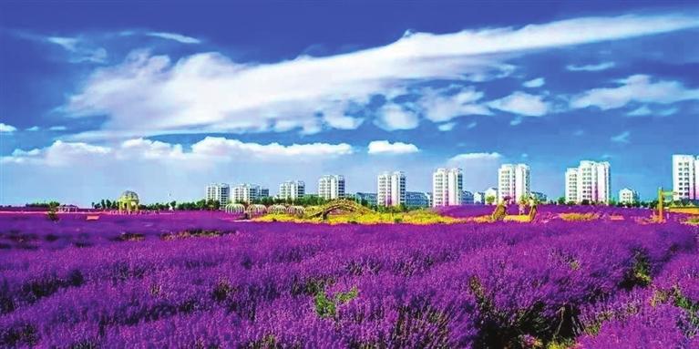 “三連冠”！金昌蟬聯(lián)全國文明城市