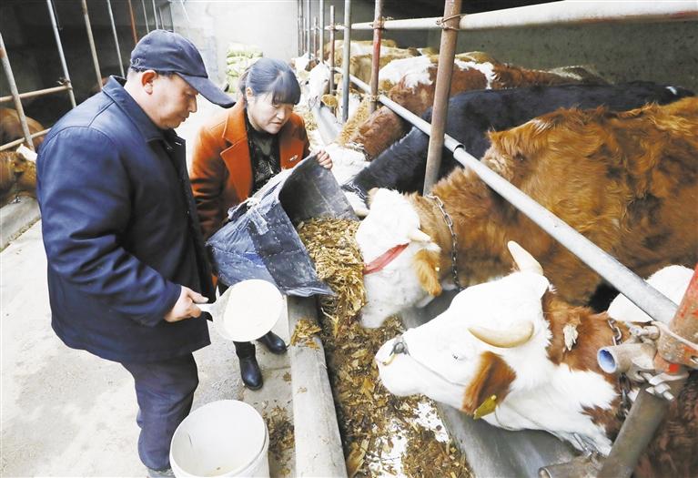 我和我的家鄉(xiāng)丨定西臨洮縣黨家墩村：“?！碑a(chǎn)業(yè)帶來(lái)“?！比兆?>
        </a><em>我和我的家鄉(xiāng)丨定西臨洮縣黨家墩村：“?！碑a(chǎn)業(yè)帶來(lái)“?！比兆?/em></li>
    <li><a  target=