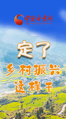 圖解|定了！全面推進(jìn)鄉(xiāng)村振興這樣干！