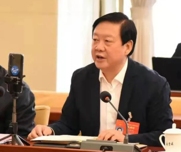 【聚焦2021全國兩會】全國人大代表、市委書記楊維俊接受中國日報記者采訪