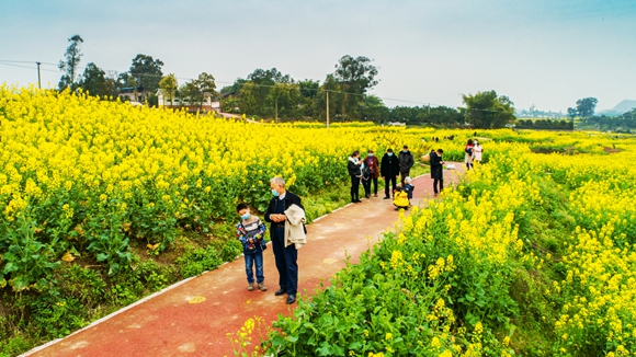 游客在花海里踏青。廖濤 攝