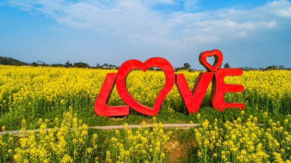 “l(fā)ove”創(chuàng)意拍照墻。廖濤 攝