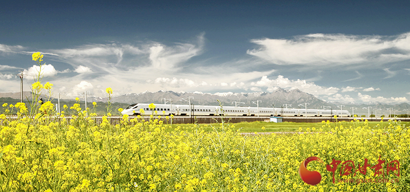 坐上火車“邂逅”春天，你可以這樣享“鐵路游”