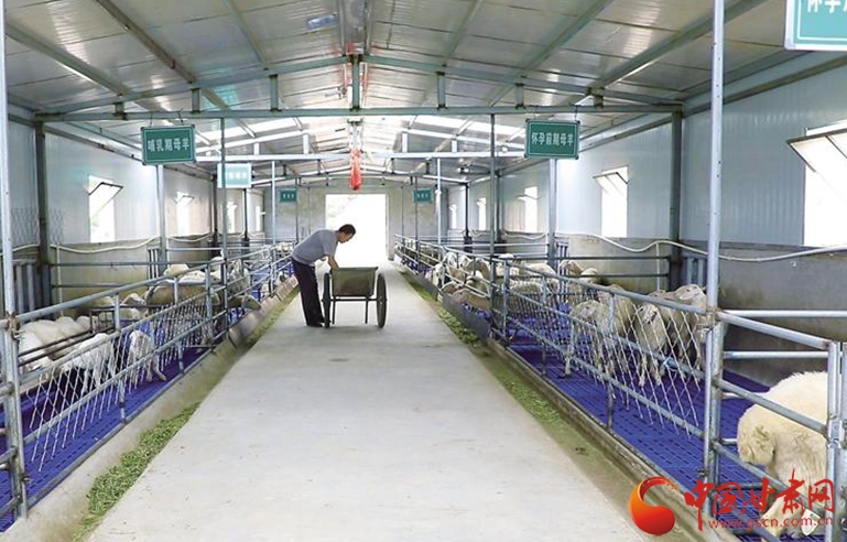 【小康之路 奮斗有我】懷一顆初心 擔(dān)一肩使命——記全國脫貧攻堅(jiān)先進(jìn)個人劉小兵