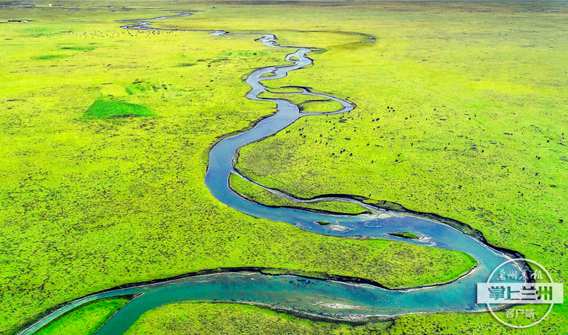 全攻略 | 觀(guān)覽大河風(fēng)采 感觸流金歲月 三條經(jīng)典游程暢游“母親河”