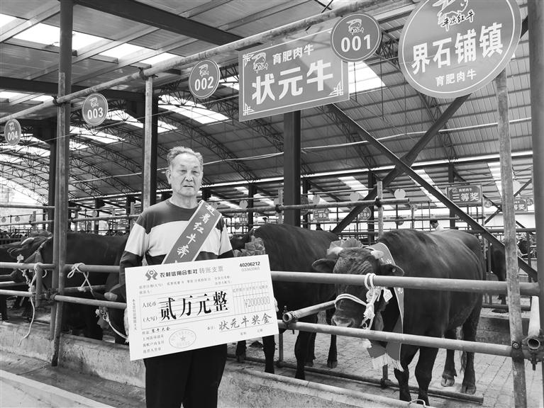 120頭“平?jīng)黾t?！膘o寧爭(zhēng)霸