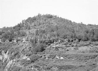 歷史眼丨張果老是正寧人？他與甘肅福緣不淺