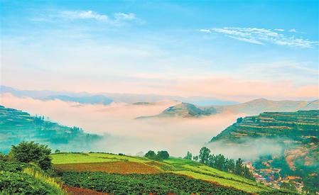 雨后的宕昌縣拉路梁的萬(wàn)畝中藥材綠色標(biāo)準(zhǔn)化種植基地沐浴在晨霧里
