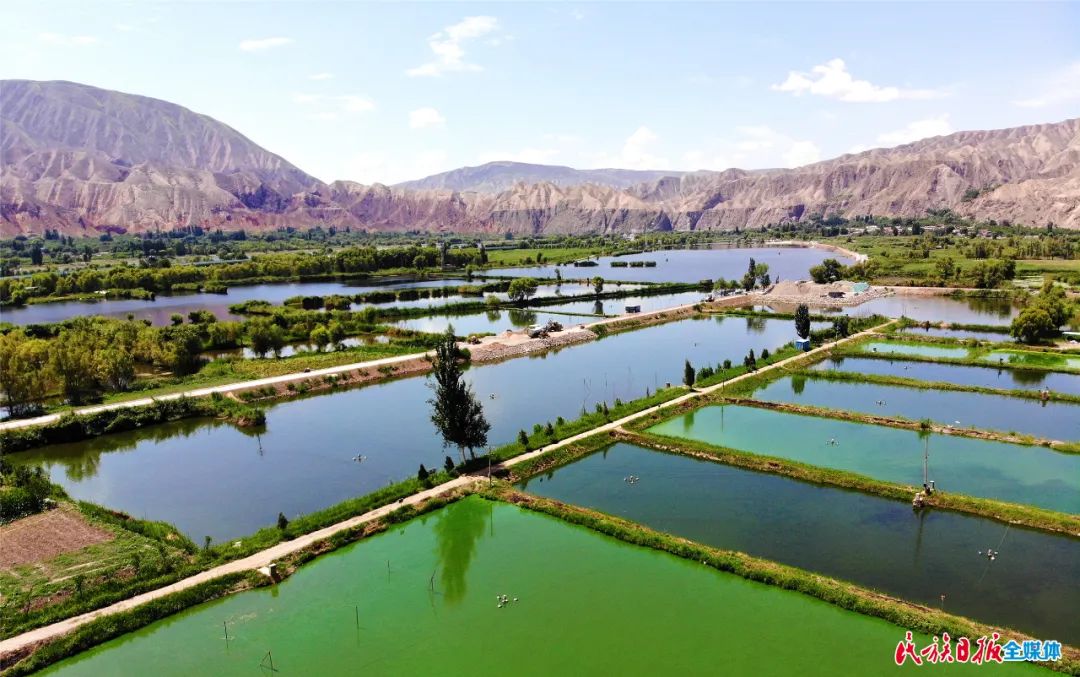 一秒入畫！太極島濕地風光秀麗