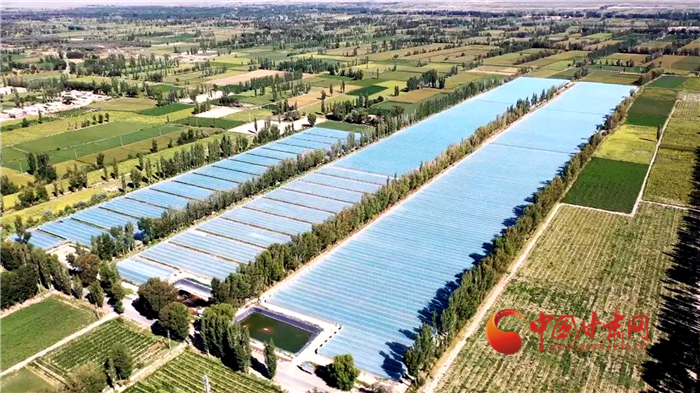 【小康圓夢·看甘肅】酒泉瓜州：高標(biāo)準(zhǔn)農(nóng)田化零為整 高品質(zhì)蜜瓜增效增收