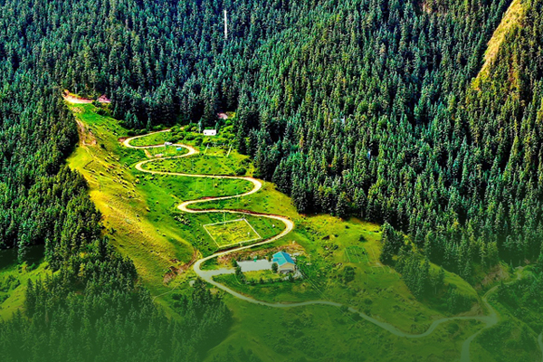 海報(bào)|祁連山保護(hù)區(qū)生態(tài)環(huán)境問題整改全面完成！