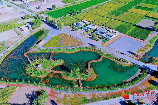 【小康圓夢(mèng)·看甘肅】臨澤縣鴨暖鎮(zhèn)：精雕細(xì)琢“繡”出美麗鄉(xiāng)村新畫卷