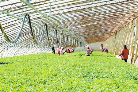 產(chǎn)業(yè)興 鄉(xiāng)村美 農(nóng)民樂(lè)——甘肅省深耕“三農(nóng)”繪就鄉(xiāng)村振興新畫卷