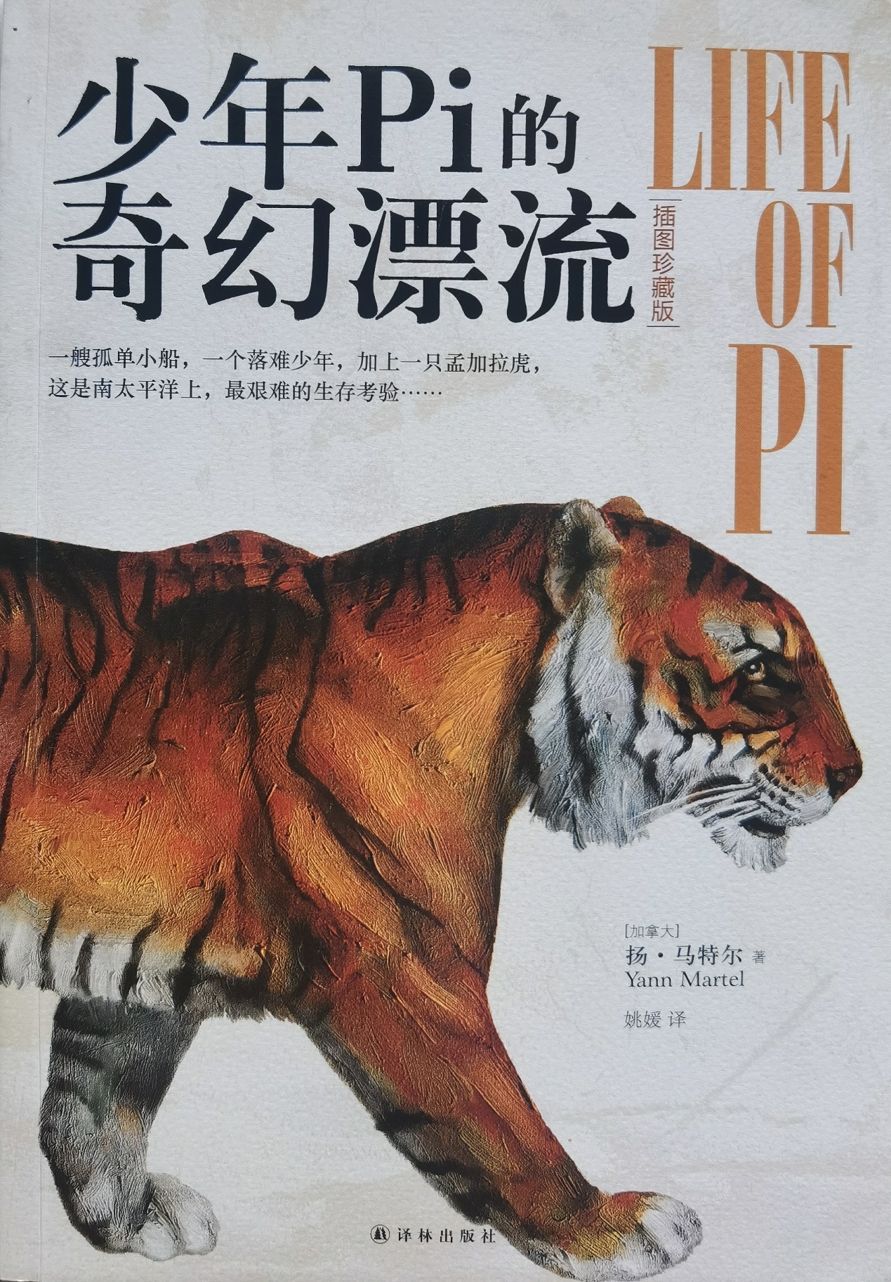 插圖1：揚(yáng)？馬特爾的小說《少年pi的奇幻漂流》封面
