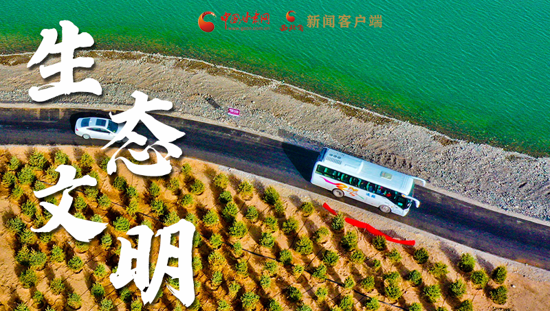 彈幕海報(bào)丨熱議甘肅省委十三屆十六次全會 網(wǎng)民聲音在回響！