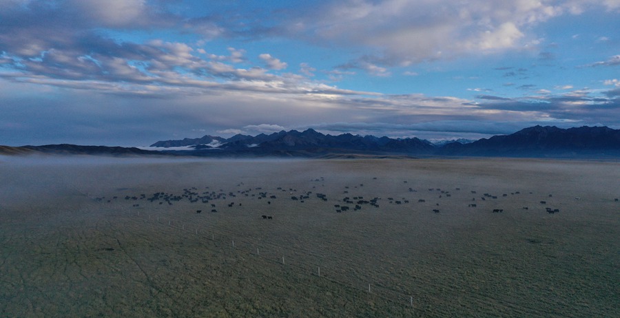 甘肅山丹馬場：峽谷云霧似仙境。 王超攝