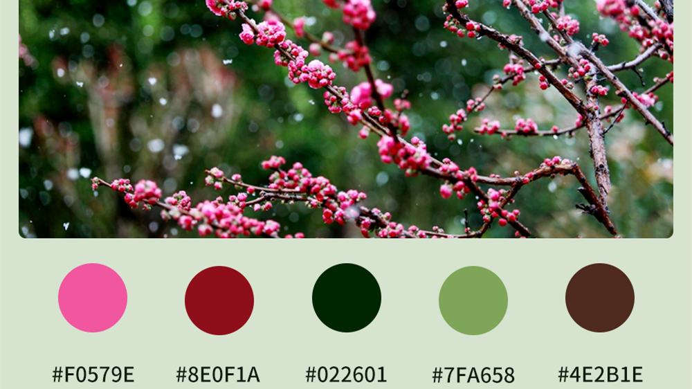 微海報(bào)|收藏！色卡里的春日甘肅