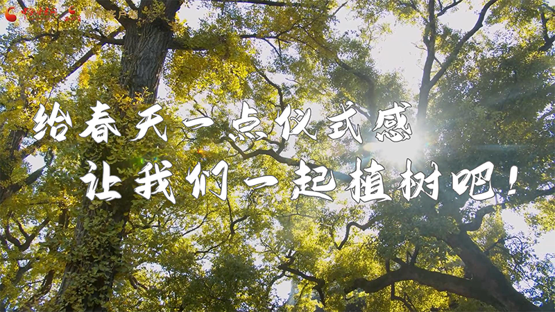 短視頻|給春天一點儀式感，讓我們一起植樹吧！