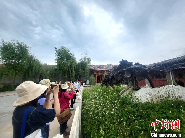 圖為媒體記者在青海永錄民俗參觀采訪。　薛蒂 攝