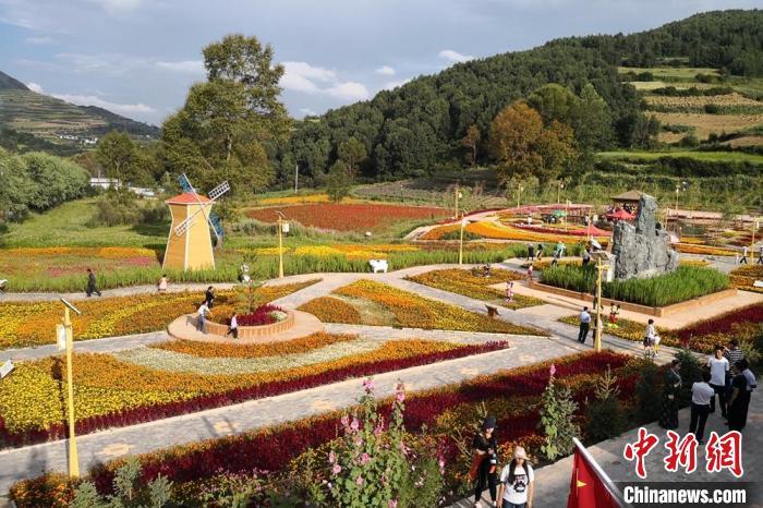 圖為航拍甘肅甘南臨潭縣八角鎮(zhèn)，花海吸引游人。(資料圖)高展 攝
