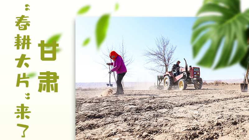 【甘快看】海報(bào)|瞧！甘肅“春耕大片”來(lái)了