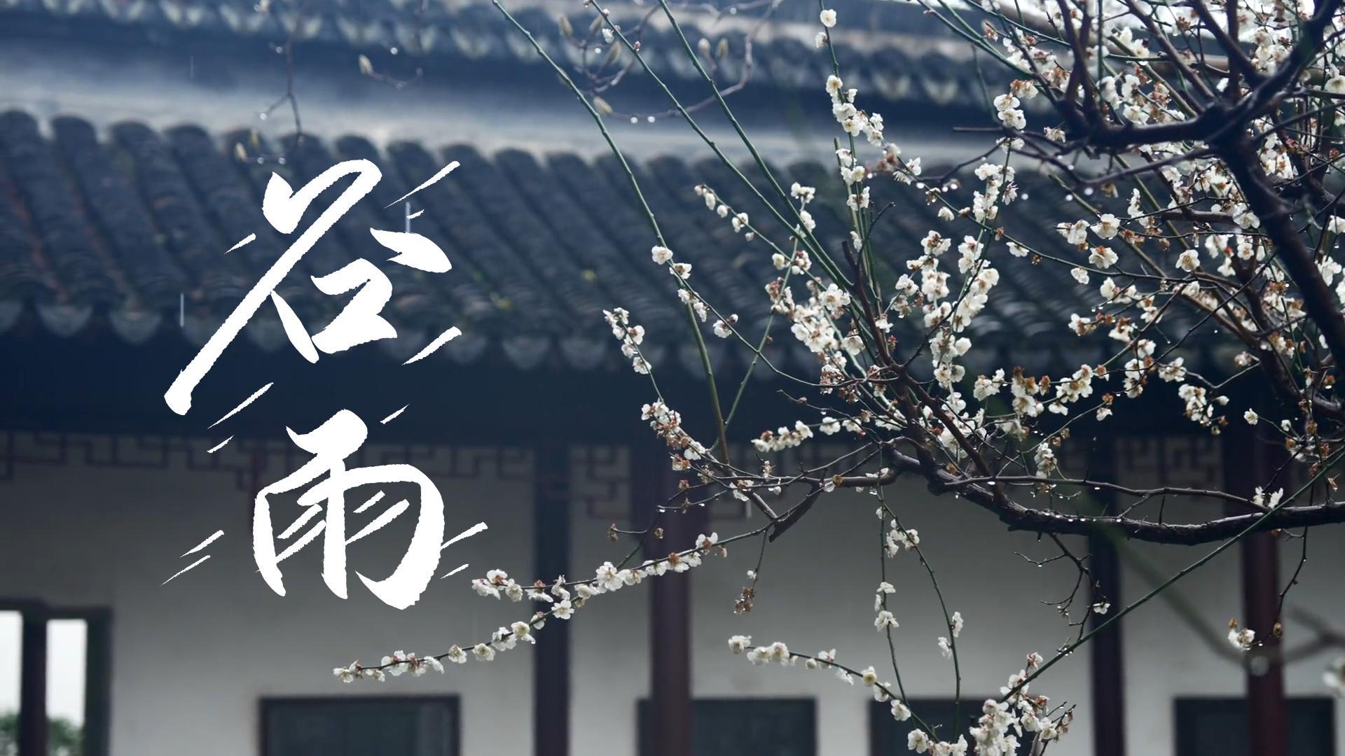 【節(jié)氣里的大美甘肅】谷雨，春天的最后一次回眸