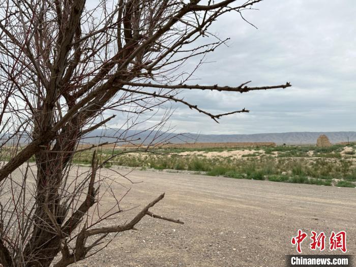 圖為位于長城墻體上的“馬面”或“敵臺”?！〈魑牟?攝