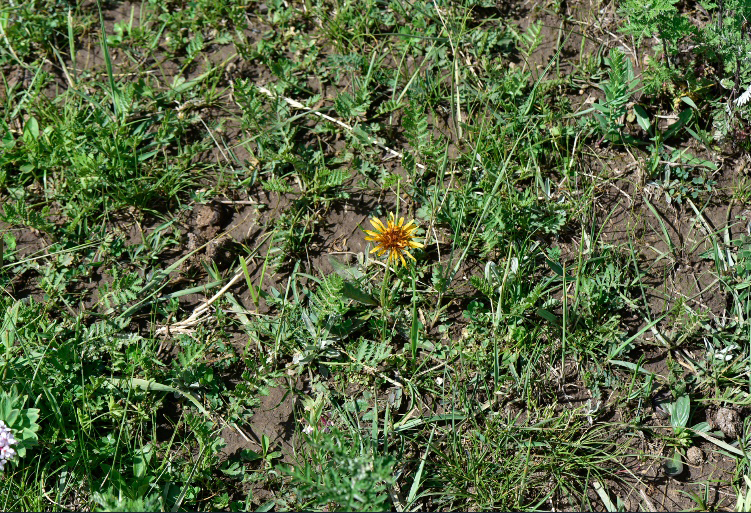 1722581671360990.jpg 20-2.jpg