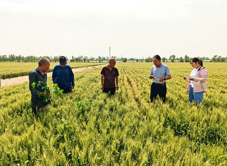 1725443445627271.jpg 11.jpg