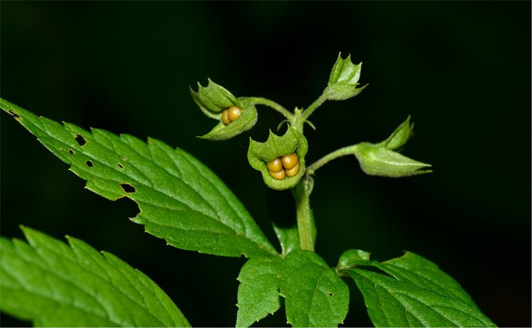 1730189587354666.png 22-2.png