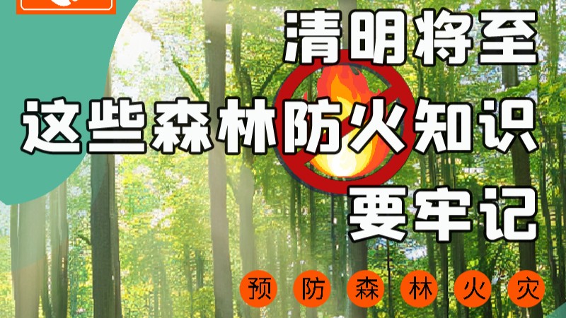 【甘快看】圖解|緊繃“安全弦”！清明，這些森林防火知識要牢記