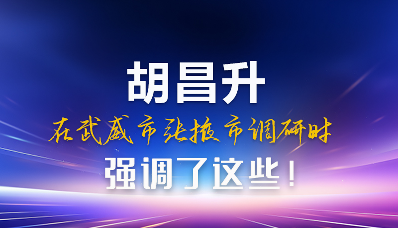 圖解|胡昌升在武威市張掖市調(diào)研時強調(diào)這些！