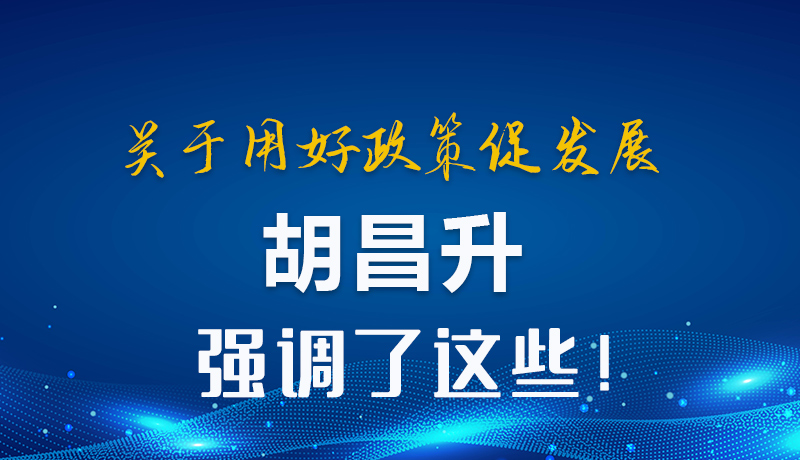圖解|關于用好政策促發(fā)展 胡昌升強調(diào)了這些！
