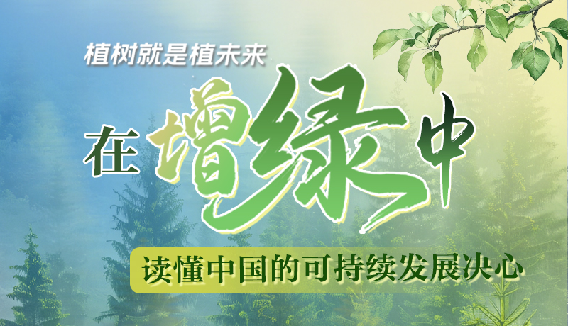 【理響中國 話隴點睛】植樹就是植未來，在增綠中讀懂中國的可持續(xù)發(fā)展決心