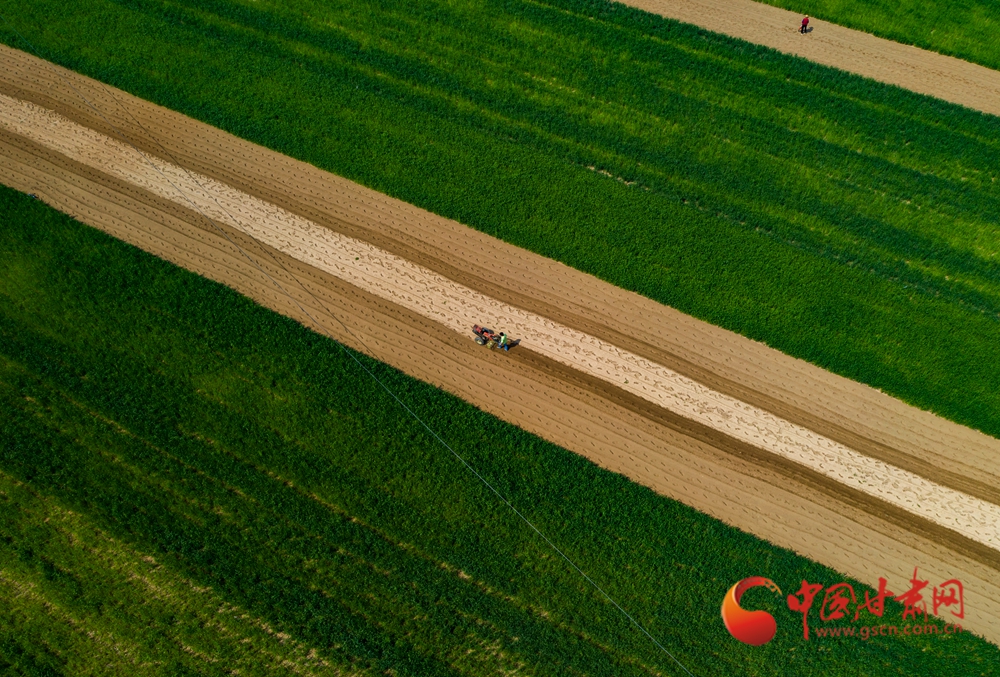 春動(dòng)隴原丨臨洮：洮水漾春 犁鏵翻開(kāi)豐收年