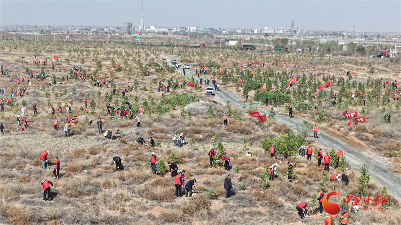 武威古浪林草治理成效顯著 239.3萬(wàn)畝沙化土地添新綠