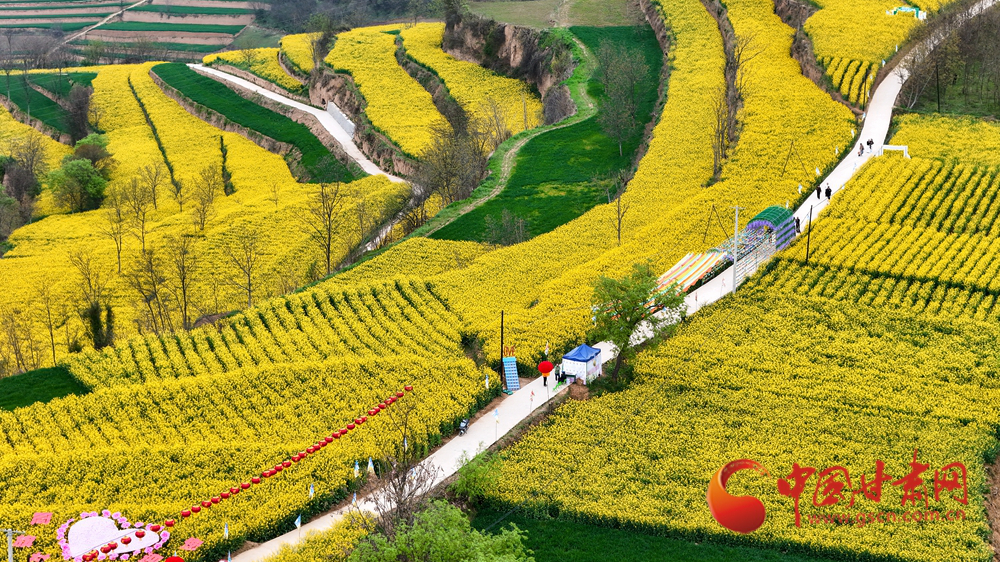 春動(dòng)隴原丨成縣：花染成州 春盈隴上